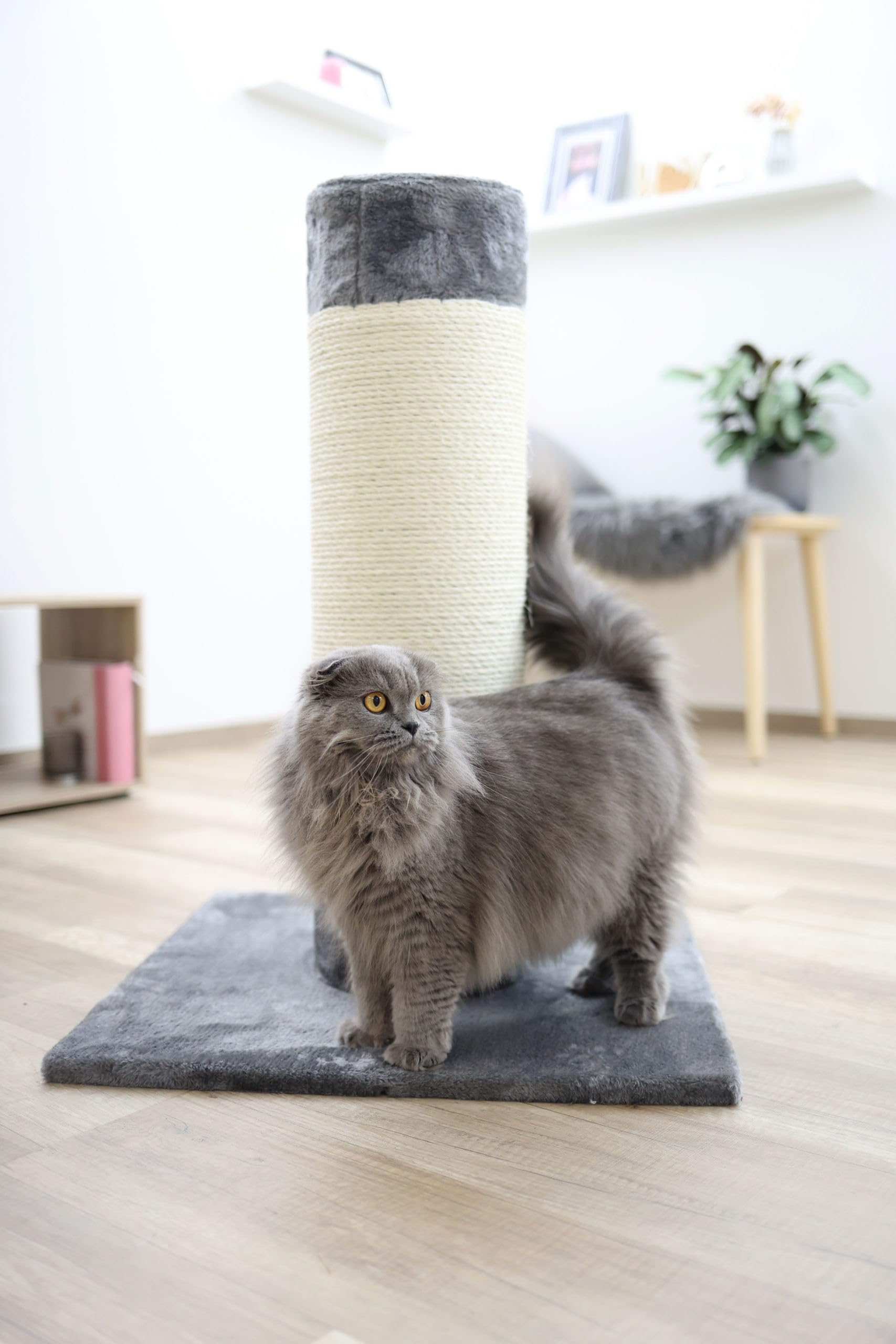 kerbl-arbre-chat-opal-ultra-colonne-sisal-80cm image 4