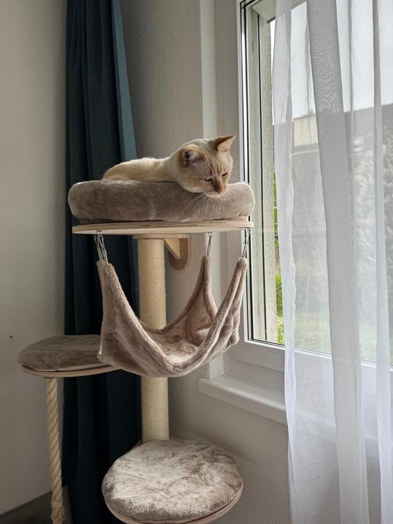 Top pour 3 chats