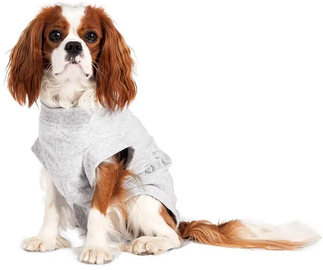 karlie-flamingo-safety-body-veste-rafra-chissante-pour-chien-gris-26-cm image 1