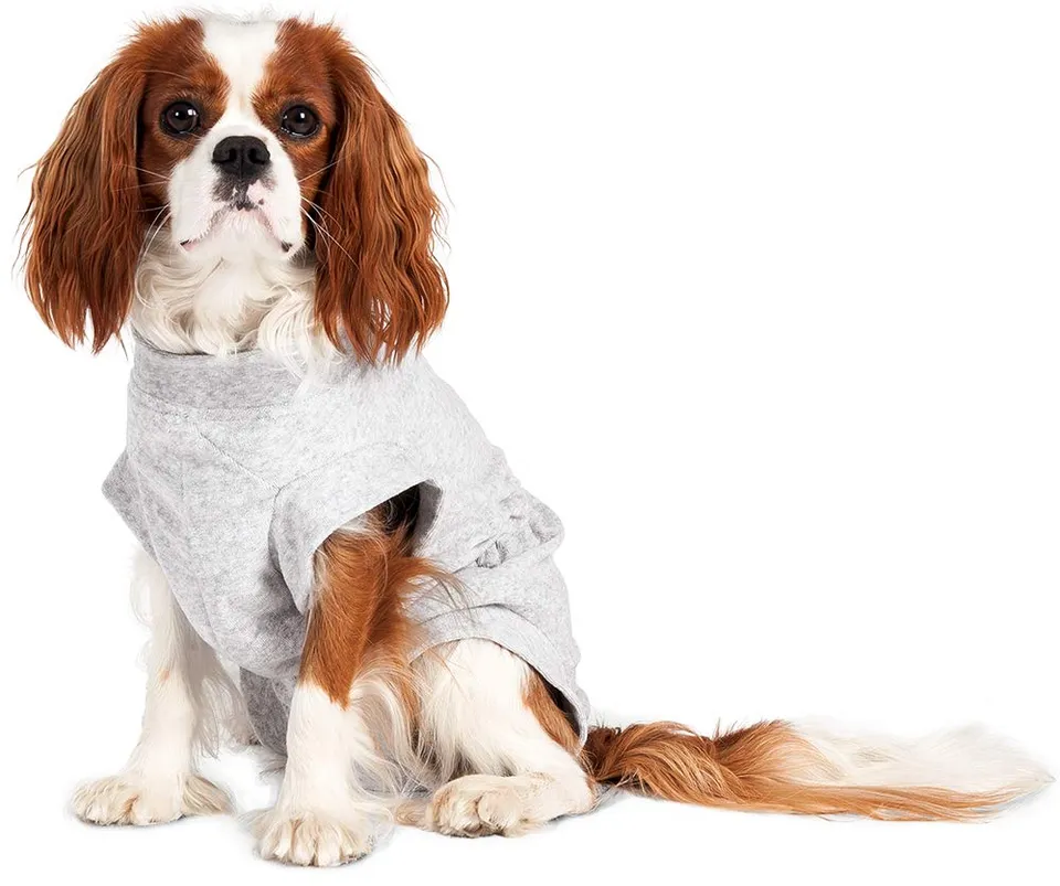 karlie-flamingo-safety-body-veste-rafra-chissante-pour-chien-gris-26-cm image 1