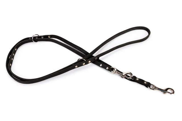 karlie-rondo-laisse-en-cuir-avec-rivets-pour-chien image 1