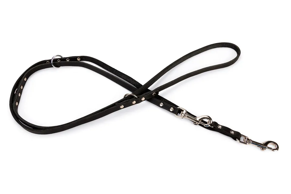 karlie-rondo-laisse-en-cuir-avec-rivets-pour-chien image 1
