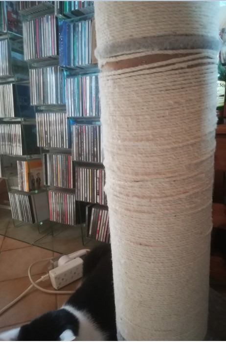 Montage facile, chats conquis