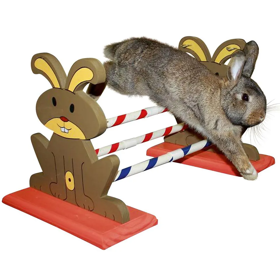 kerbl-pet-obstacle-agility-pour-rongeur-62-x-33-x-34-cm-bois-et-plastique image 1