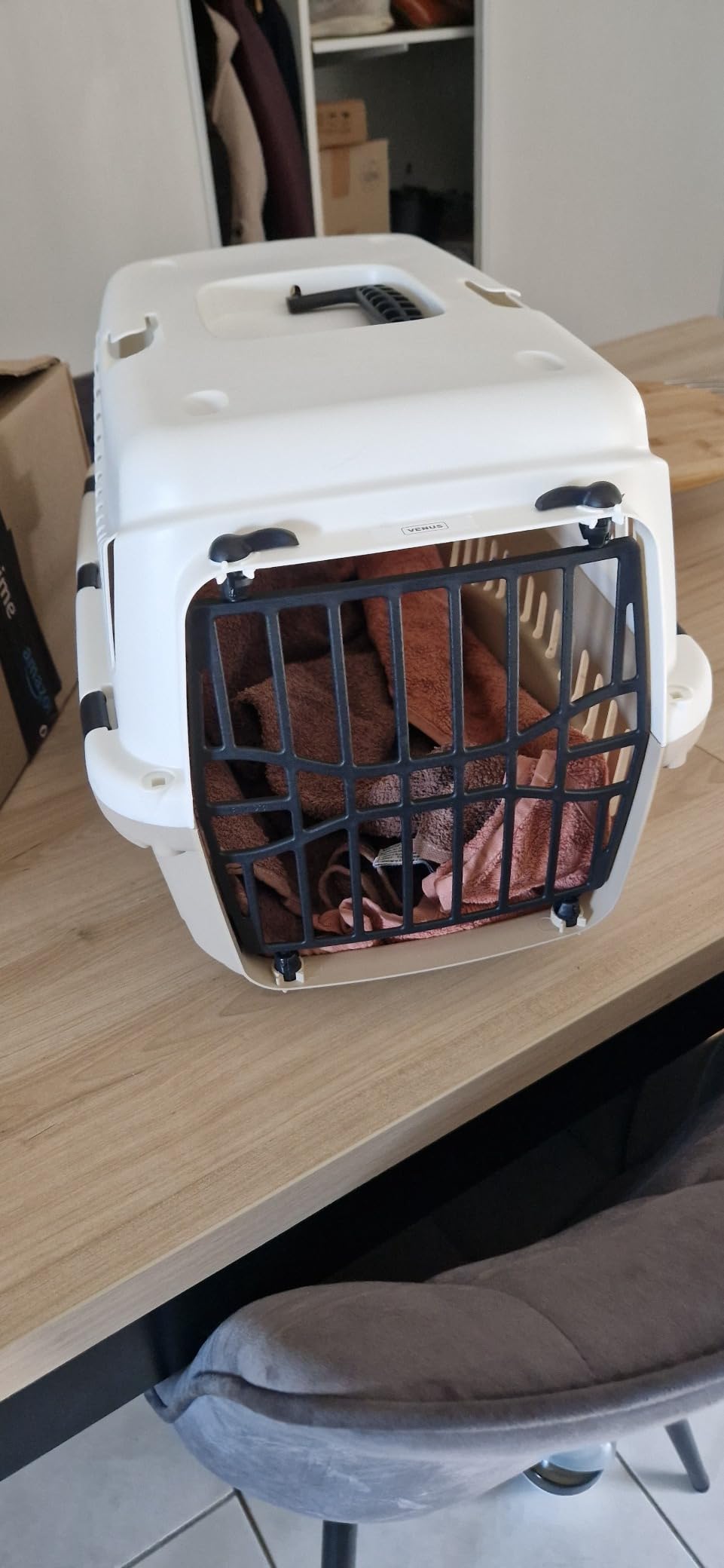 Ma fille l'adore pour son chat
