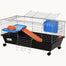 pawhut-cage-roulante-pour-petits-animaux-35-l-avec-plateforme-rampe-gamelle-et-a image 2