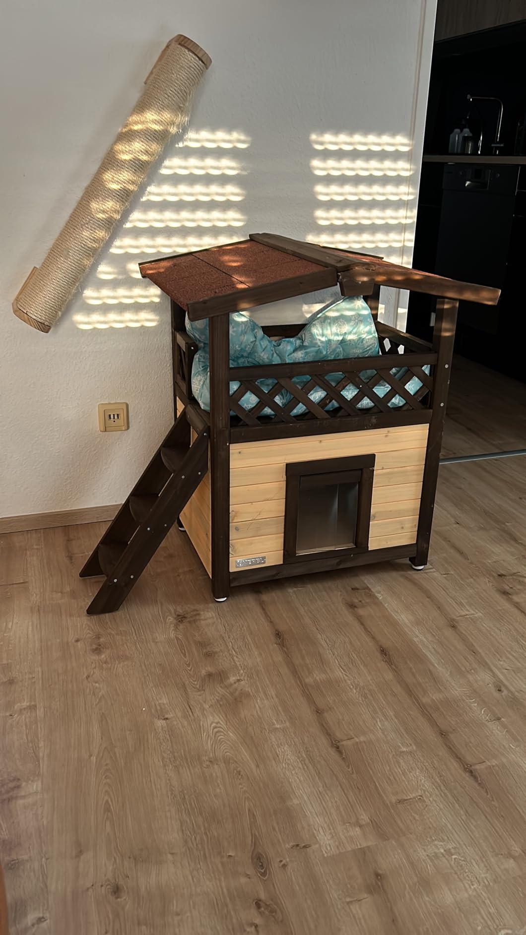 Top pour chats errants que je nourris