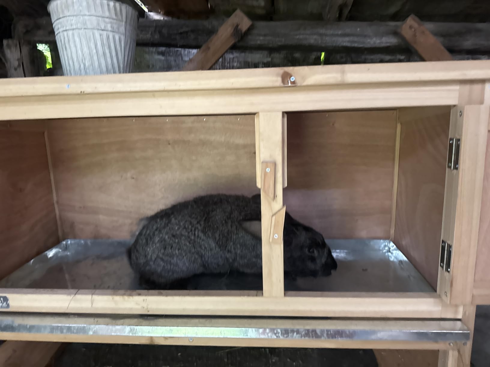 Super pour mon vieux lapin