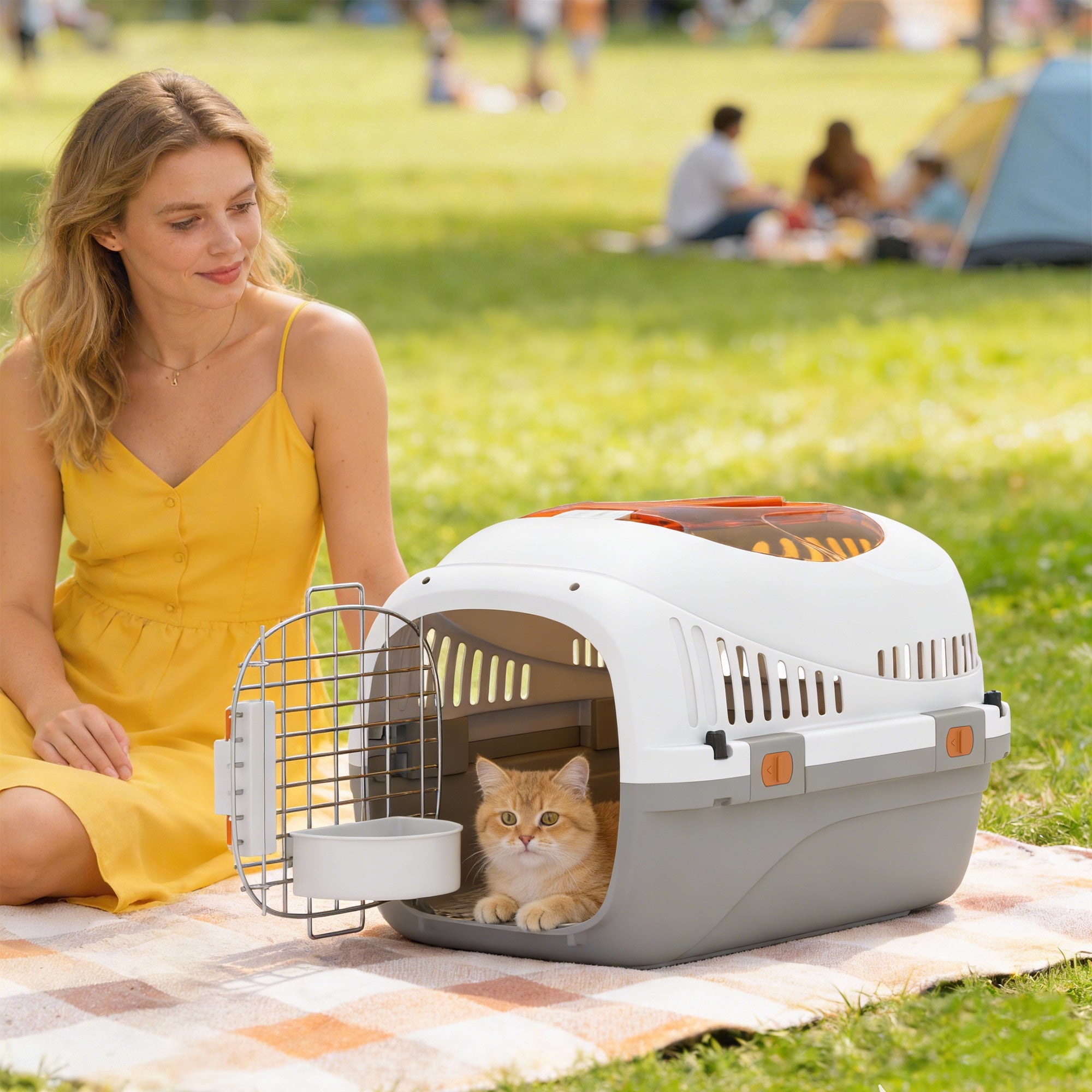 pawhut-caisse-de-transport-rigide-pour-petit-chien-et-chat-avec-porte-acier-et-g image 3