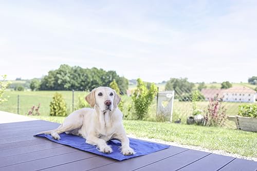 kerbl-pet-coolrelax-tapis-rafra-chissant-pour-chien-bleu-50x40cm image 6