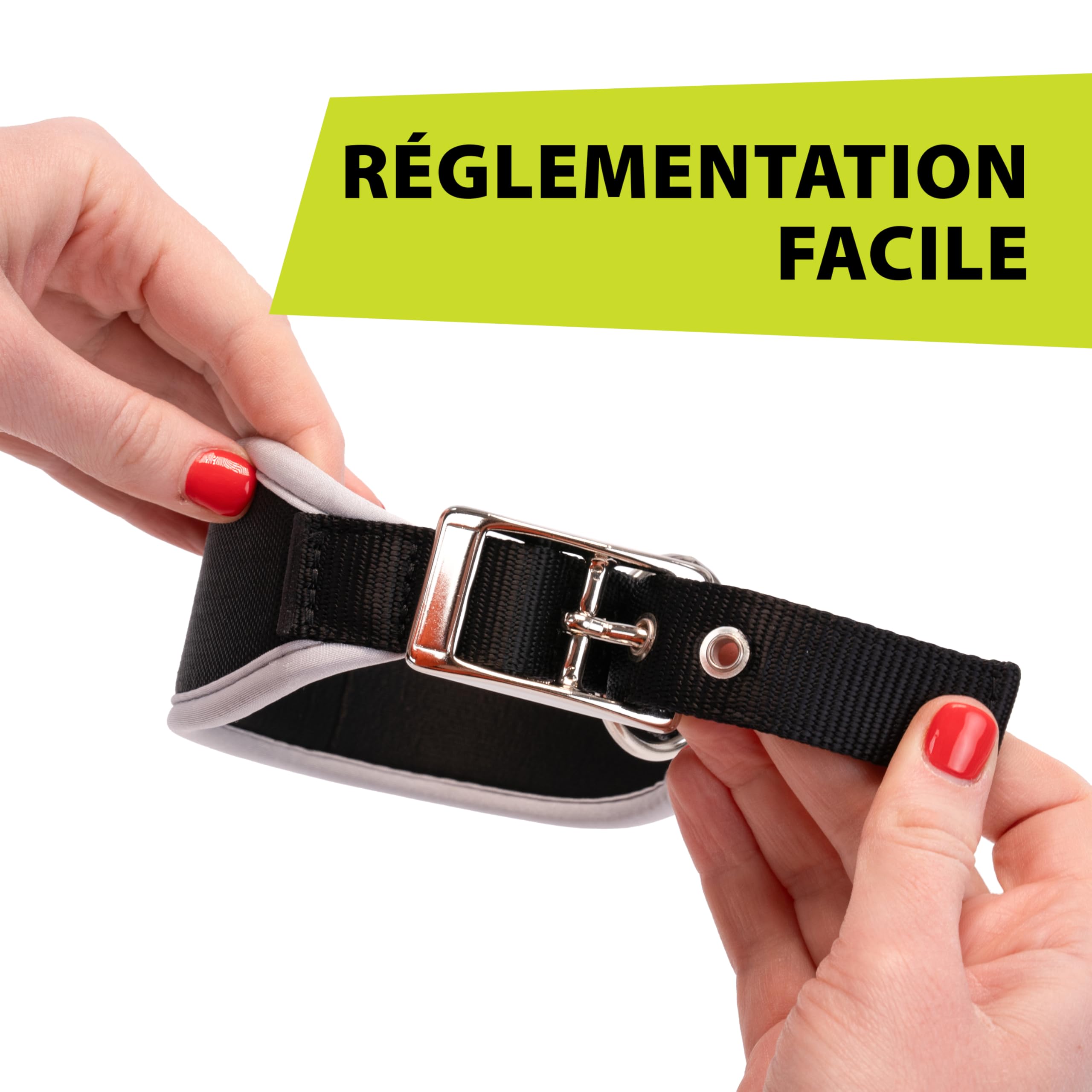 ferplast-ergocomfort-c15-33-collier-chien-l-vrier-argent image 5