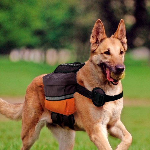 ferplast-dog-scout-sac-dos-pour-chien-moyen-grand-r-glable-r-fl-chissant image 7