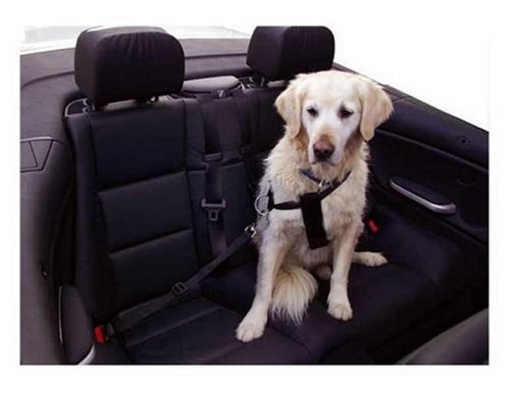 kerbl-ceinture-de-s-curit-r-glable-pour-chien-voiture image 2