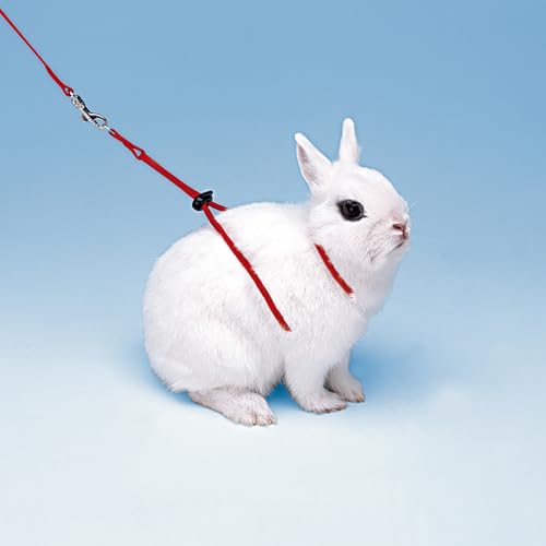 ferplast-ny-rab-harnais-r-glable-laisse-120-cm-pour-lapin-nylon image 4