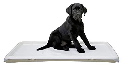 kerbl-pet-toilettes-pour-chiots-xl-90-x-60-x-4-cm-cr-me image 3