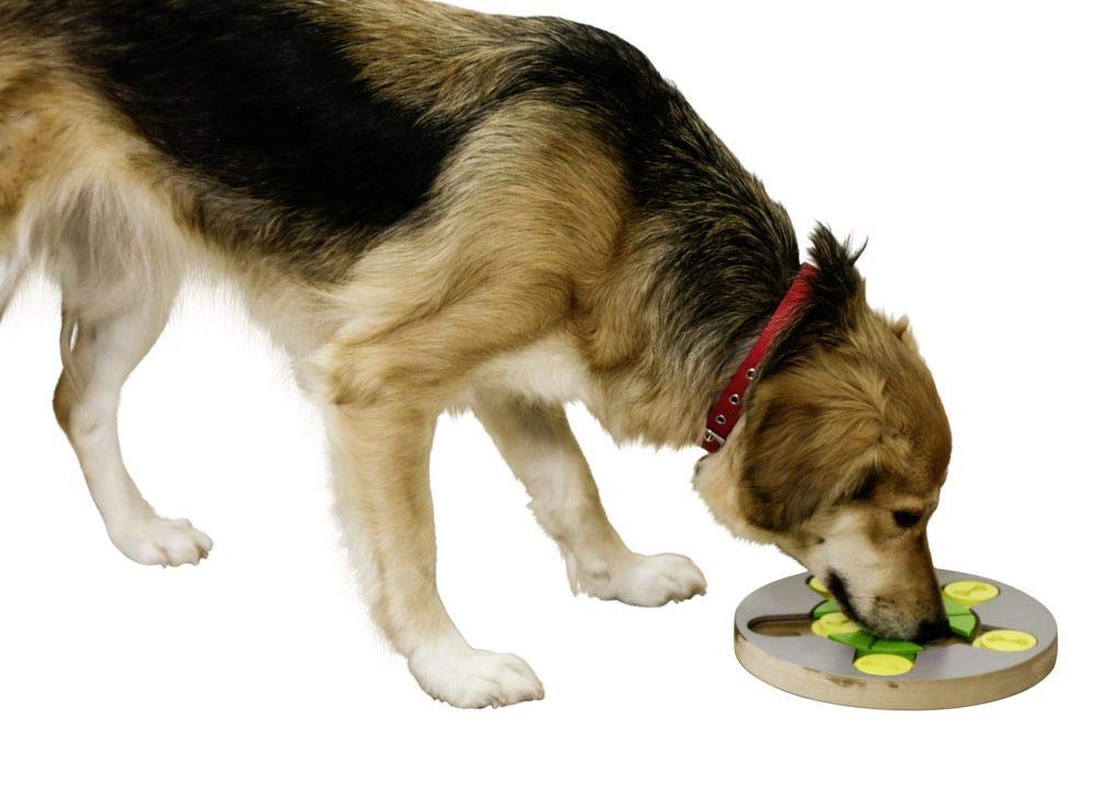 kerbl-pet-switch-jeu-de-r-flexion-pour-chien-25cm image 3