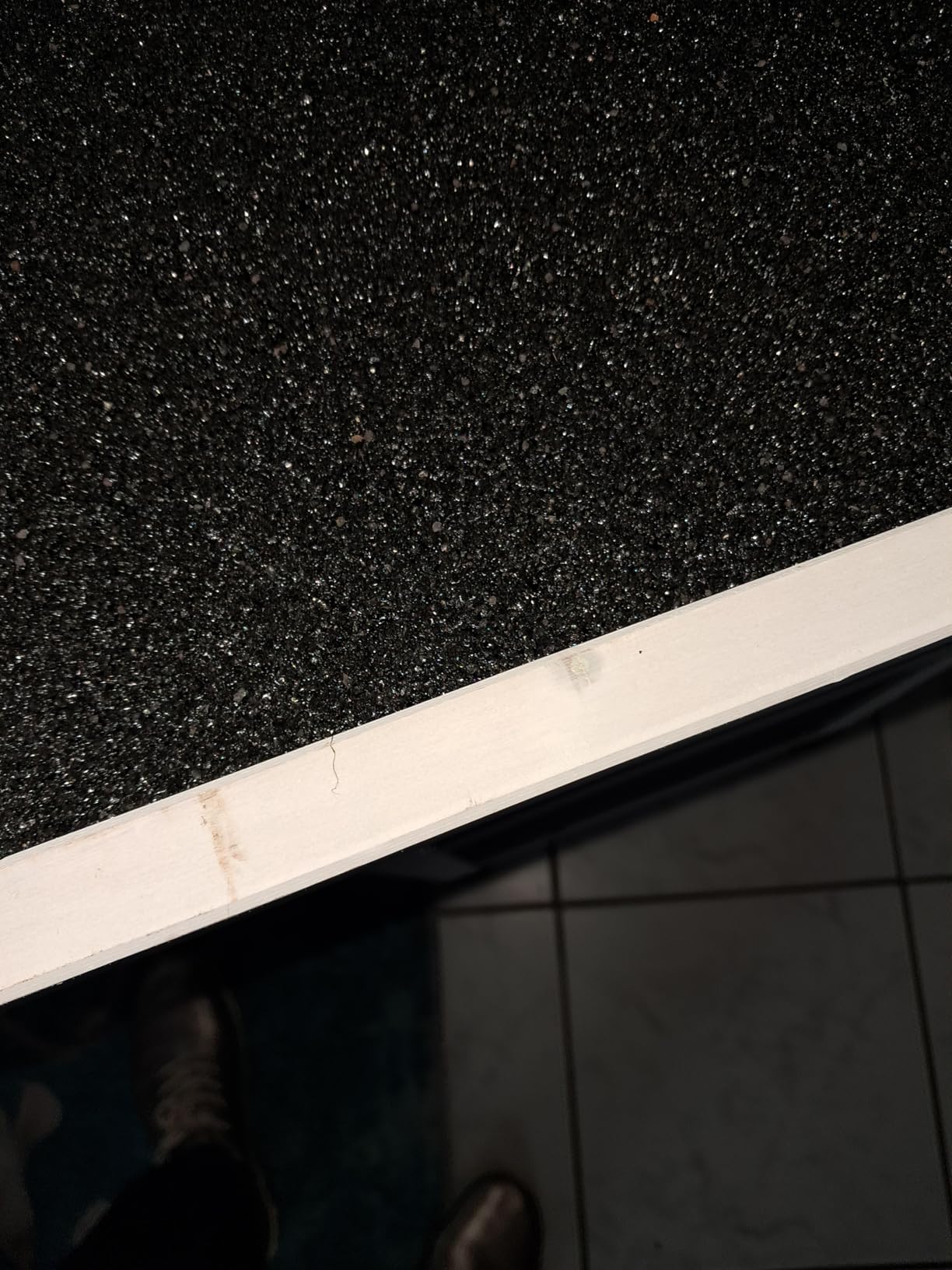 Idéale pour chat peureux