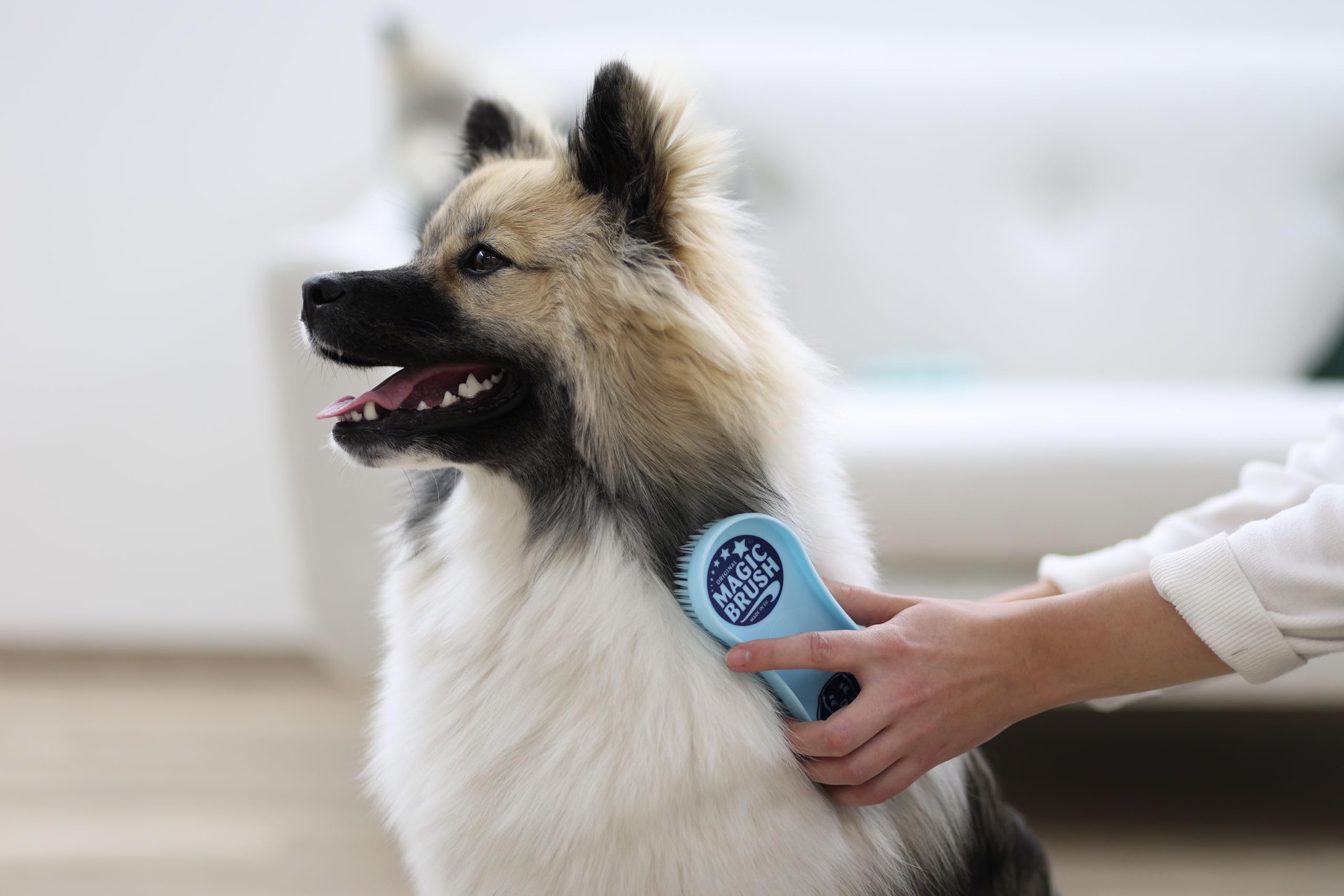 kerbl-magicbrush-brosse-pour-chien-bleu-ciel-poils-courts-moyens image 5