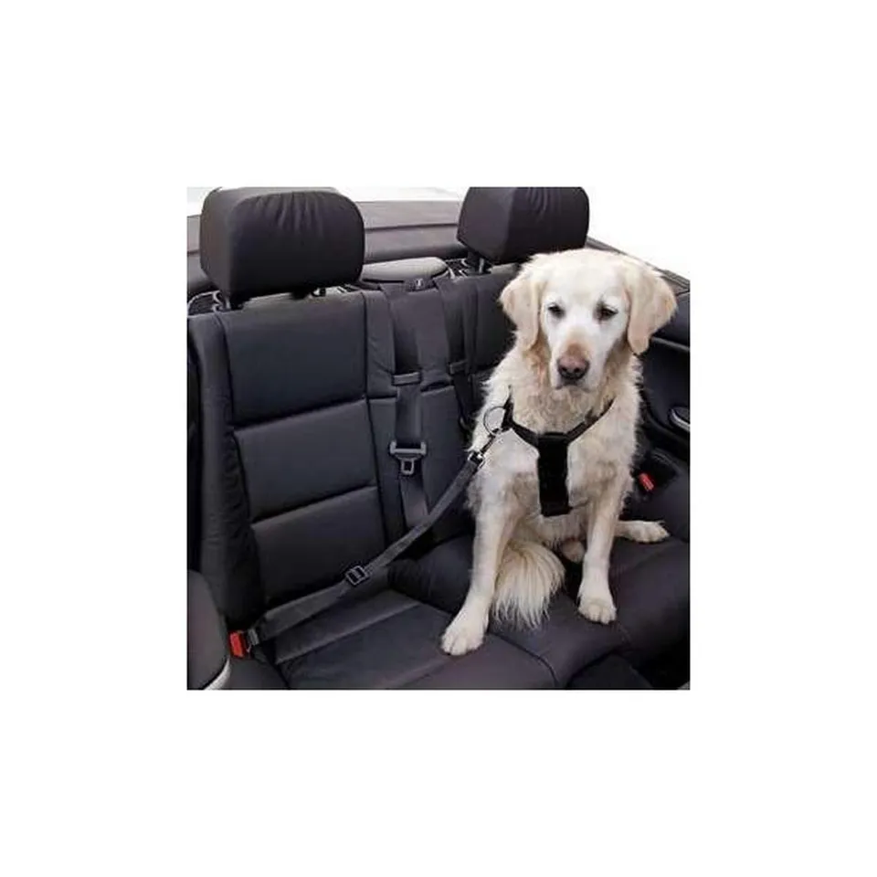 kerbl-ceinture-de-s-curit-r-glable-pour-chien-voiture image 1