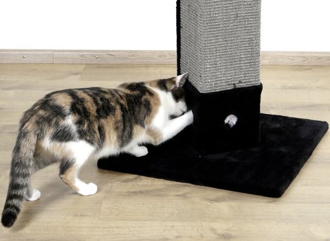 kerbl-pet-4-corner-arbre-chat-noir-48x48x80-cm-bois-peluche-sisal image 4
