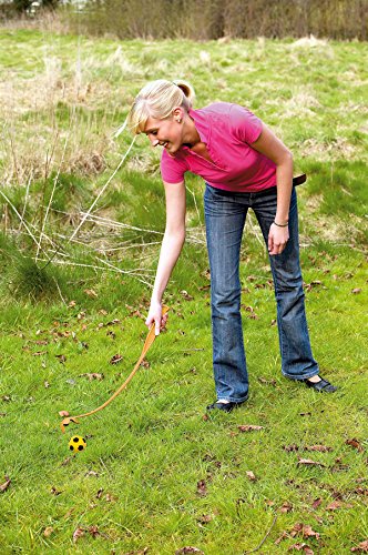 karlie-vadigran-lanceur-soft-ball-avec-balle-mousse-pour-chien image 5