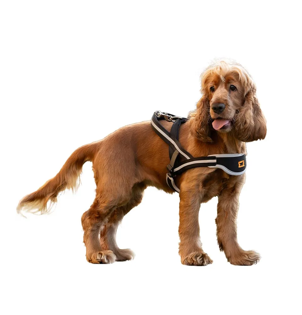ferplast-harnais-chien-ergocomfort-nordic-petit-poitrine-59-67-cm image 1