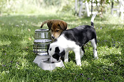 kerbl-distributeur-d-eau-nuvola-3-8-l-taupe-pour-chien-et-chat image 8