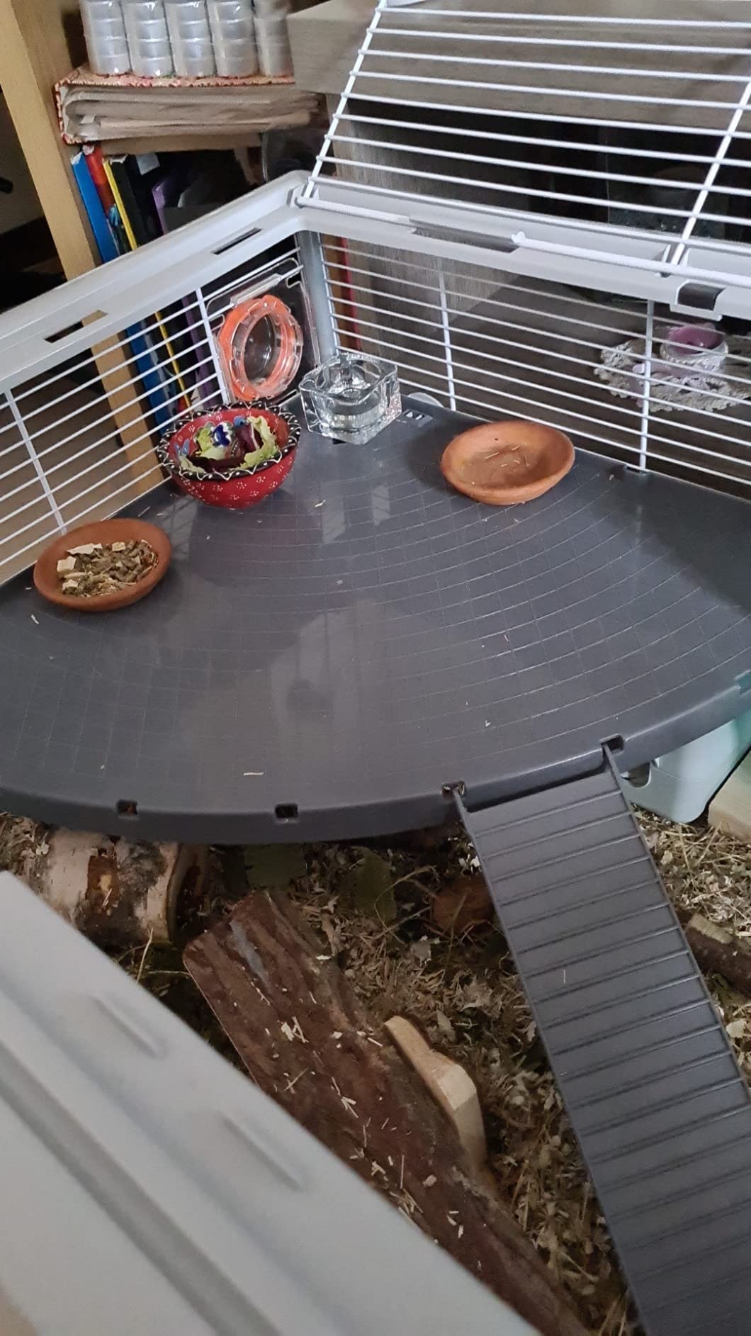 Bien mais roue un peu bruyante