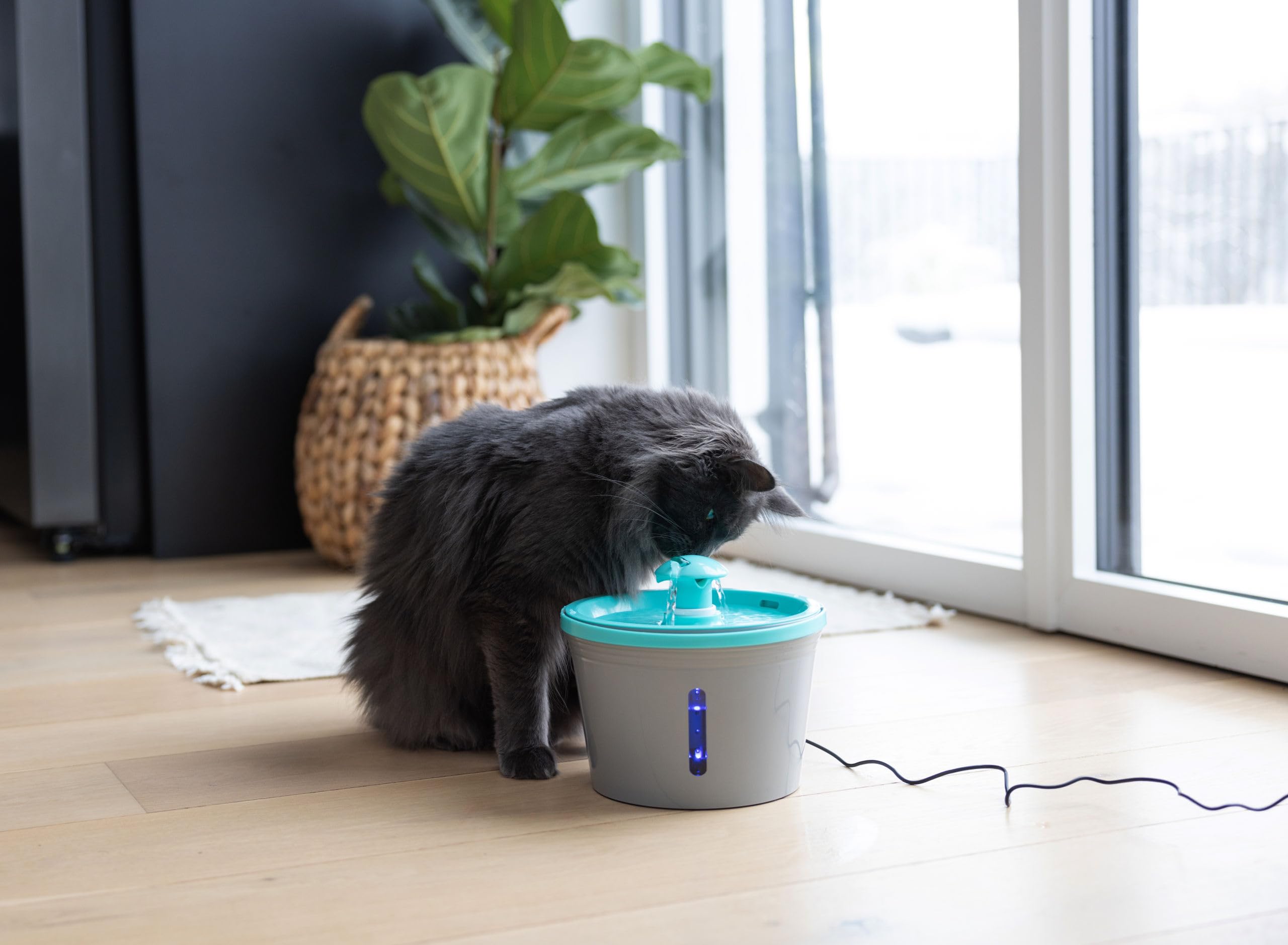 kerbl-pet-fontaine-eau-1-6-l-gris-bleu-usb-avec-filtre-charbon image 3