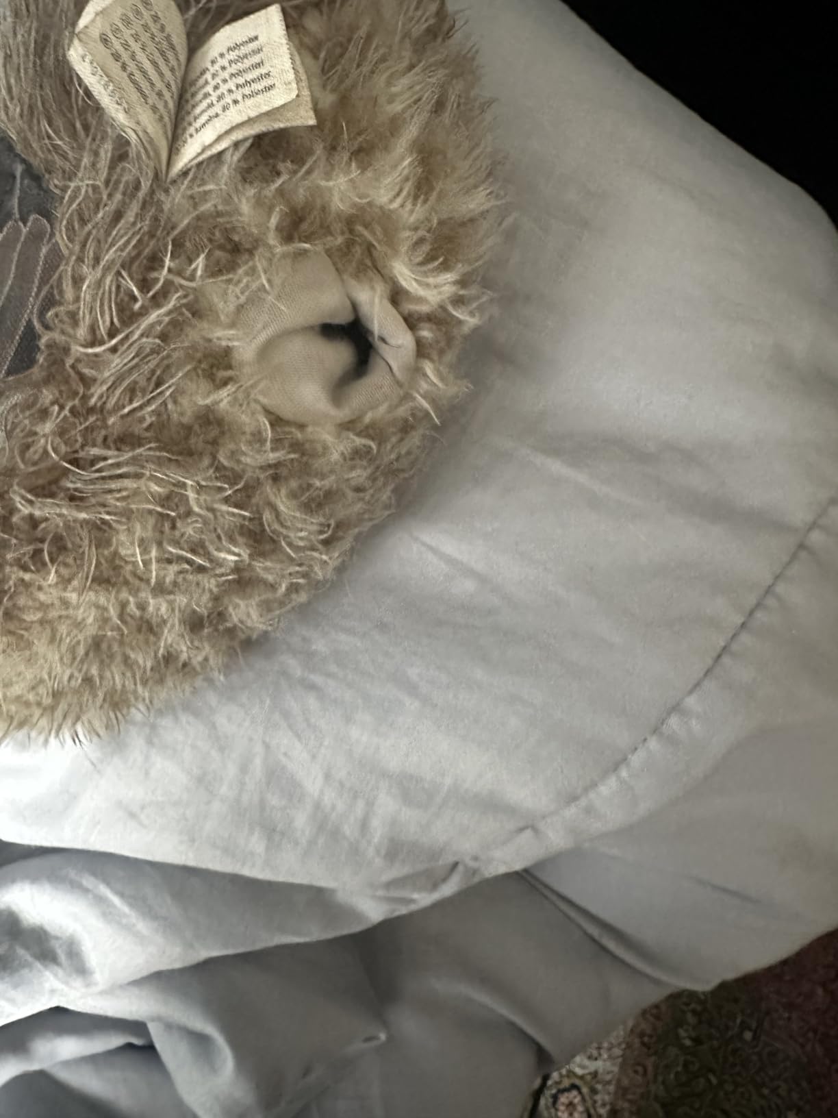 Câlin du soir