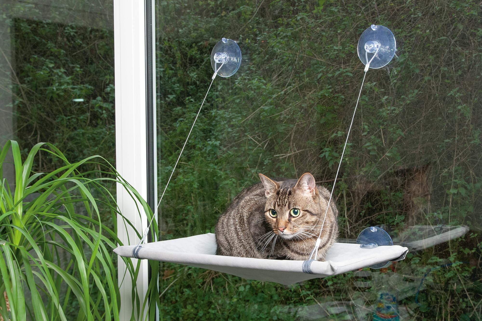 karlie-flamingo-window-lounger-couchette-de-fen-tre-pour-chat-gris-51-5-x-31-x-2 image 3