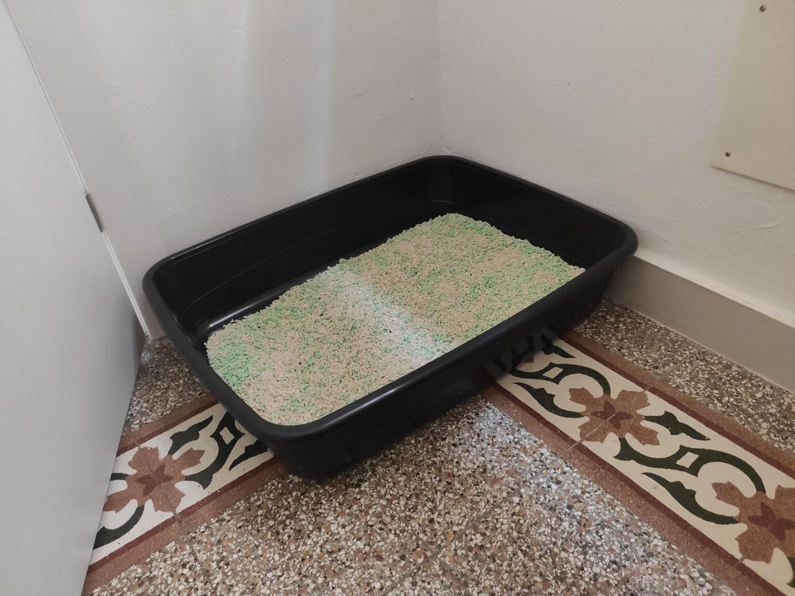 Idéal pour grand chat