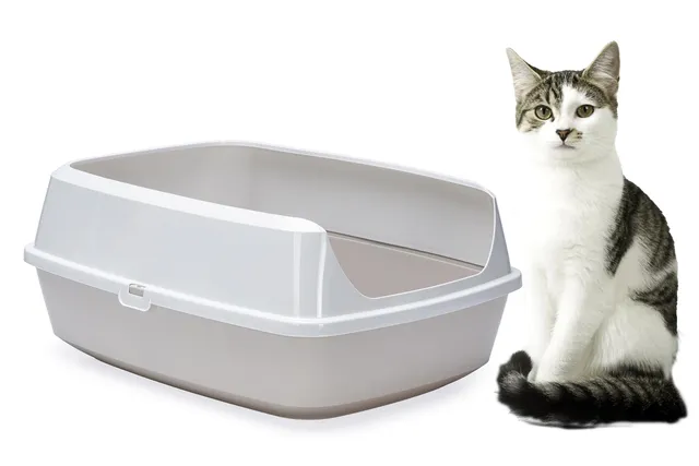 karlie-mary-loo-eco-bac-liti-re-ouvert-gris-50-x-38-3-x-21-4-cm image 1