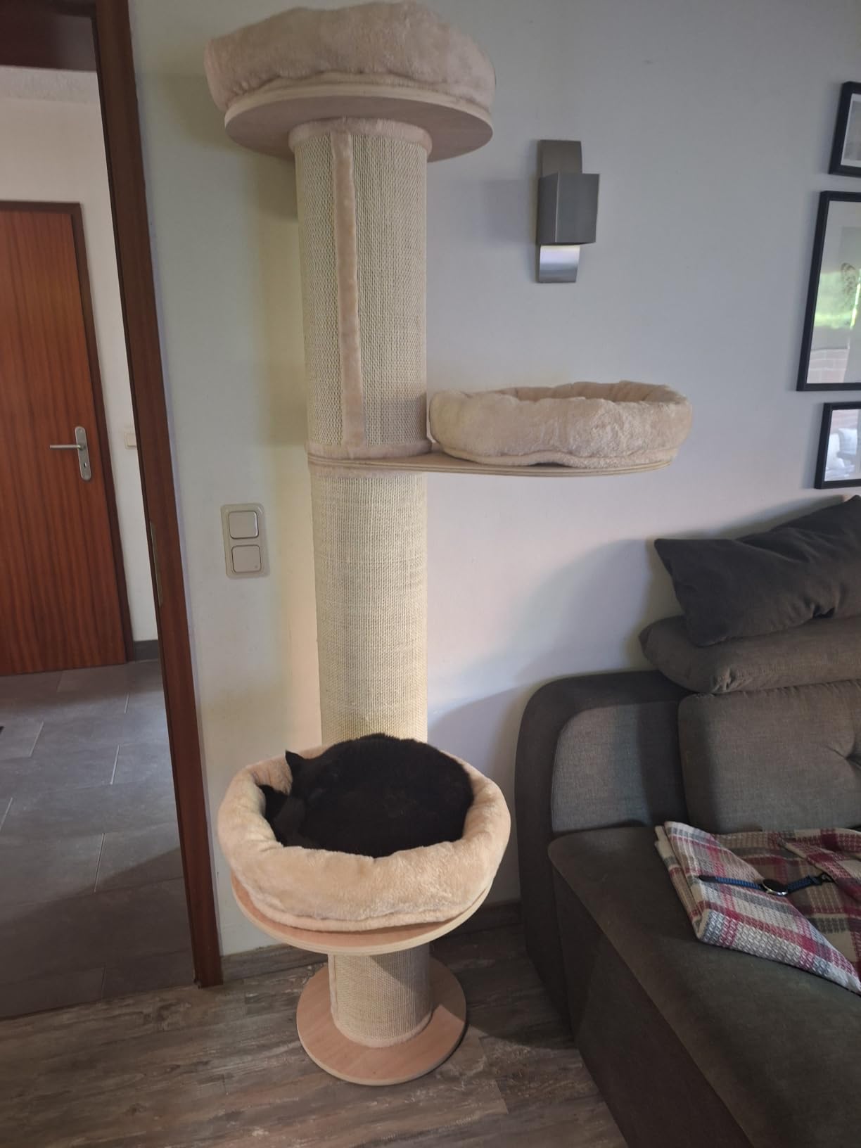 Stable pour chats âgés