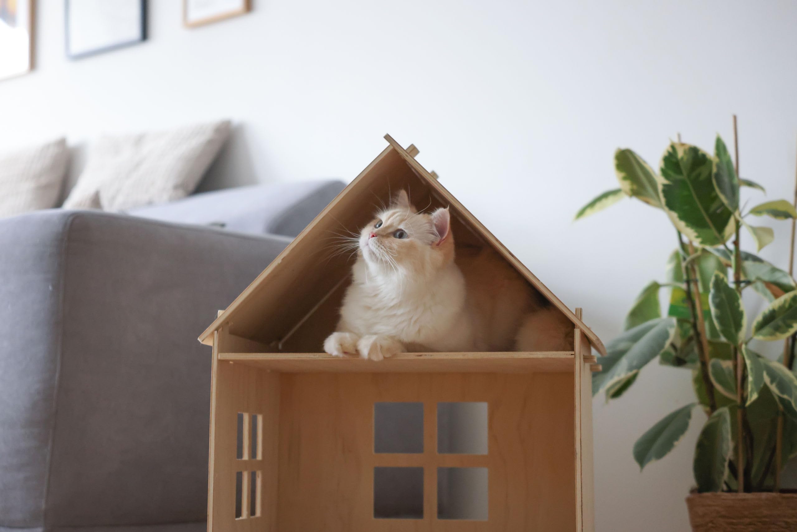 kerbl-pet-yvi-maison-d-int-rieur-pour-chat-2-niveaux-53x38x67-5-cm-naturel-blanc image 6