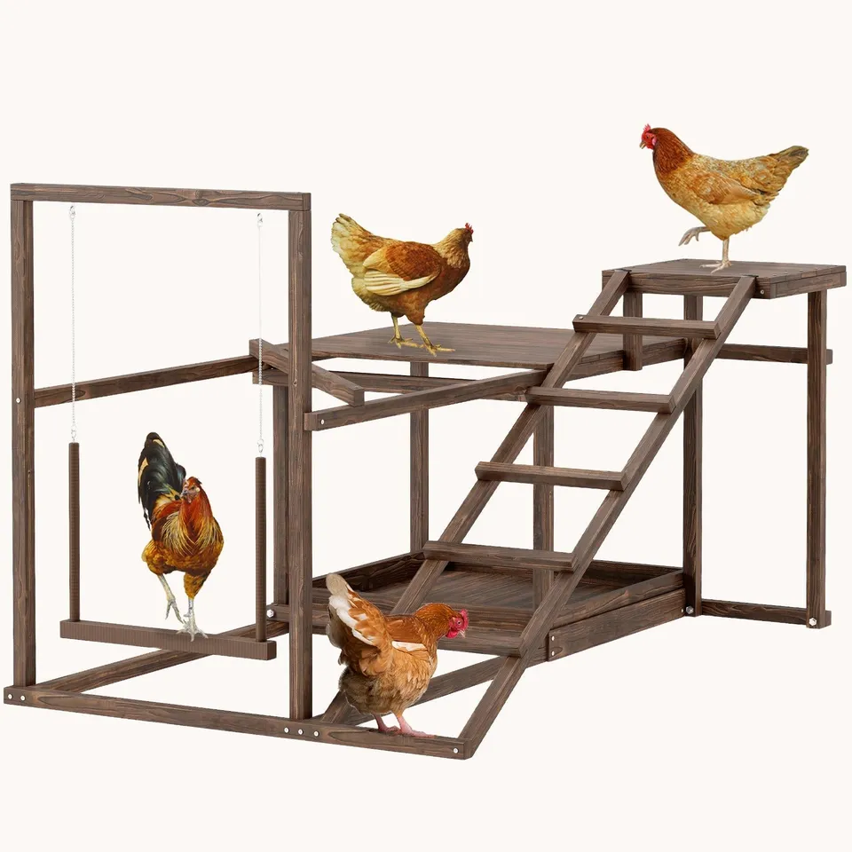 pawhut-aire-de-jeux-en-bois-pour-poules-caf-perchoir-balan-oire-chelle image 1