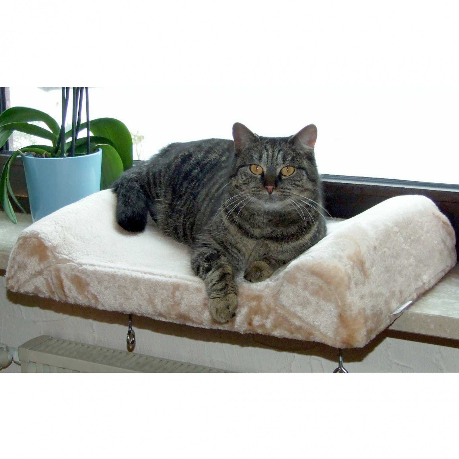 kerbl-banquette-de-fen-tre-pour-chats-56-x-36-x-7-cm image 2