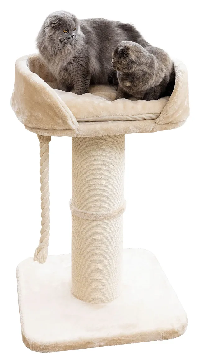 kerbl-pet-toni-xl-arbre-chat-beige-58x58x93-cm image 1