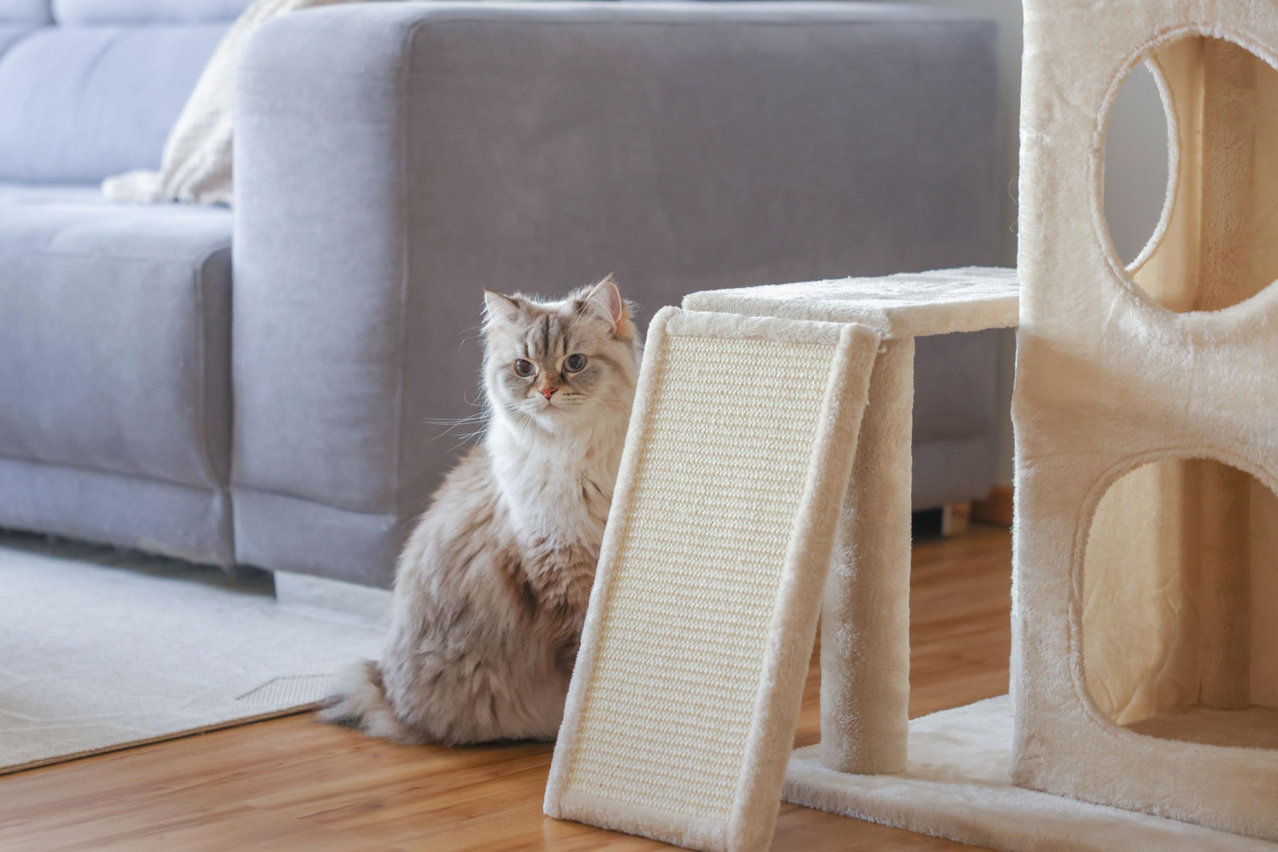 kerbl-pet-alessia-arbre-chat-beige-48-5x40x100-cm image 4
