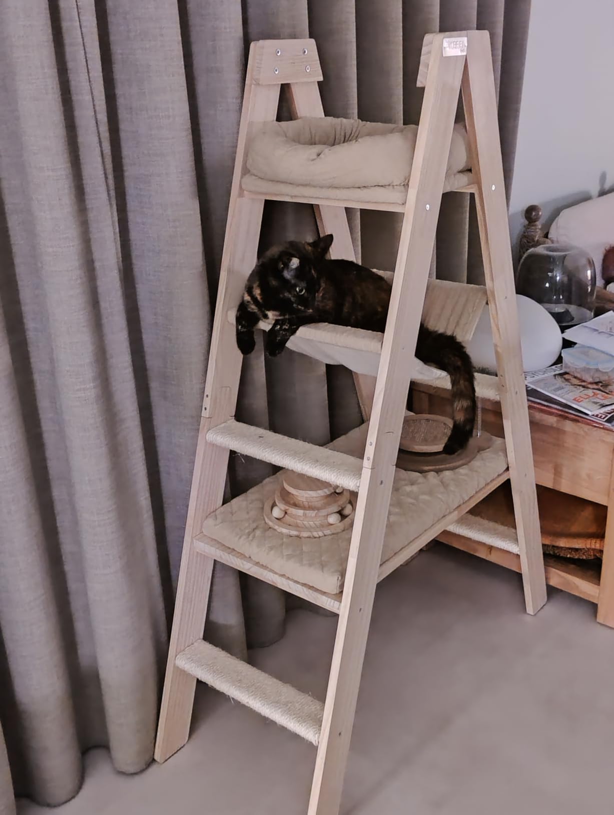 Bien, les chats se l'approprient