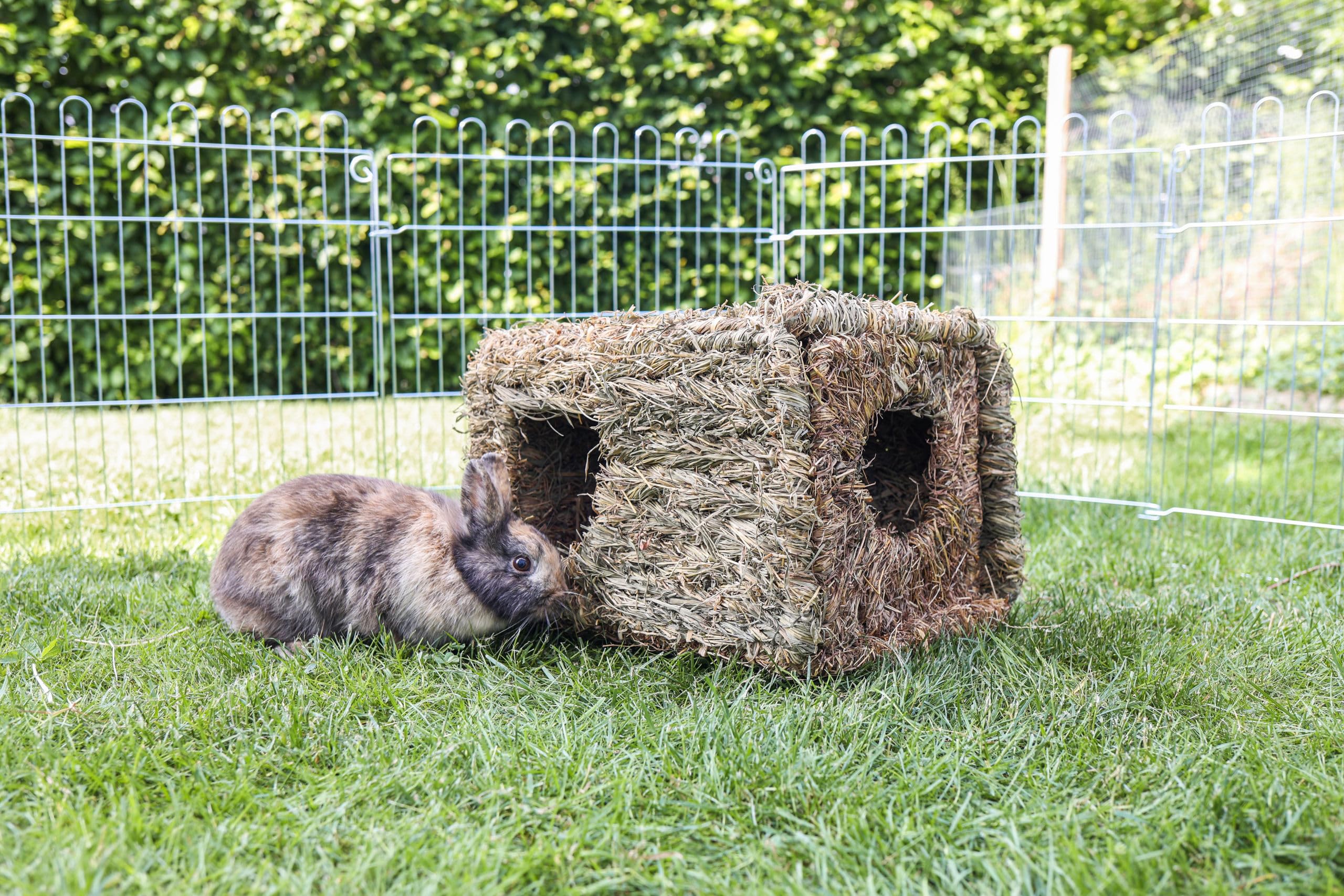 kerbl-82789-maison-en-herbe-xl-pour-petits-animaux-37x30x28-cm image 4