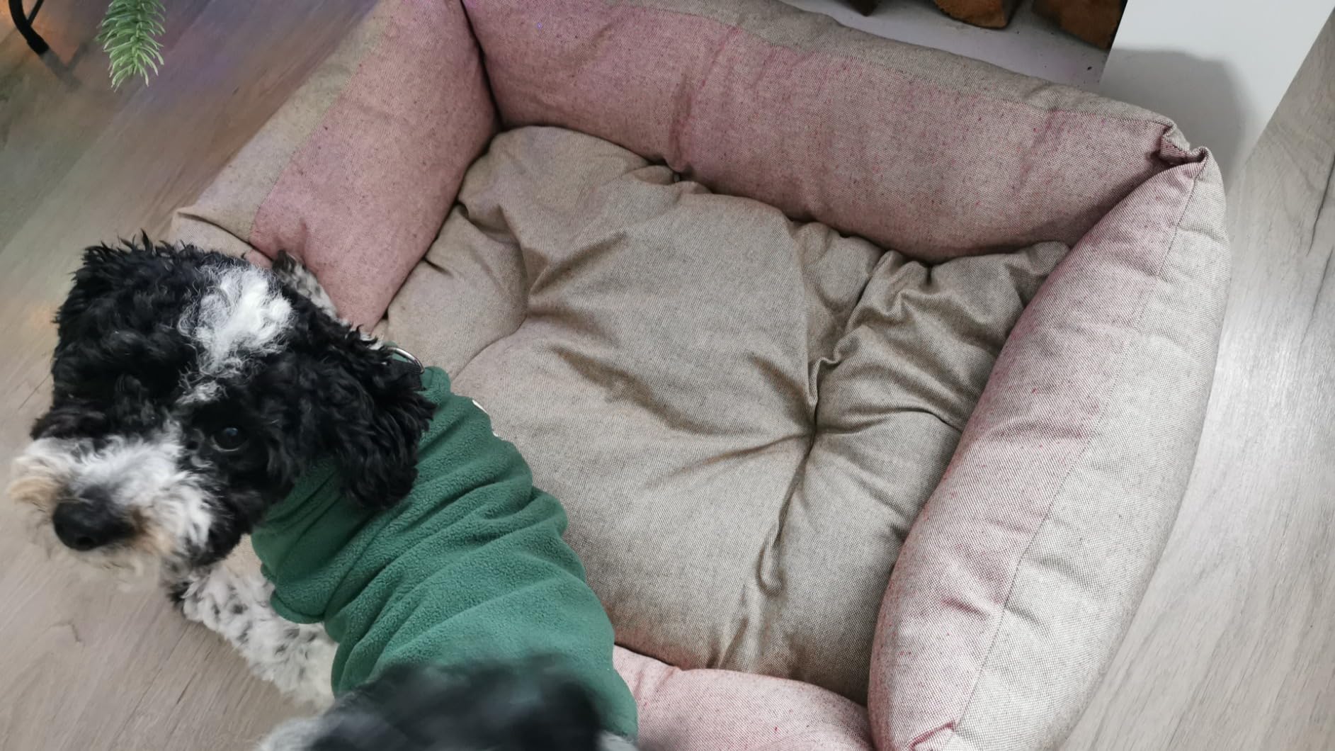 Confortable