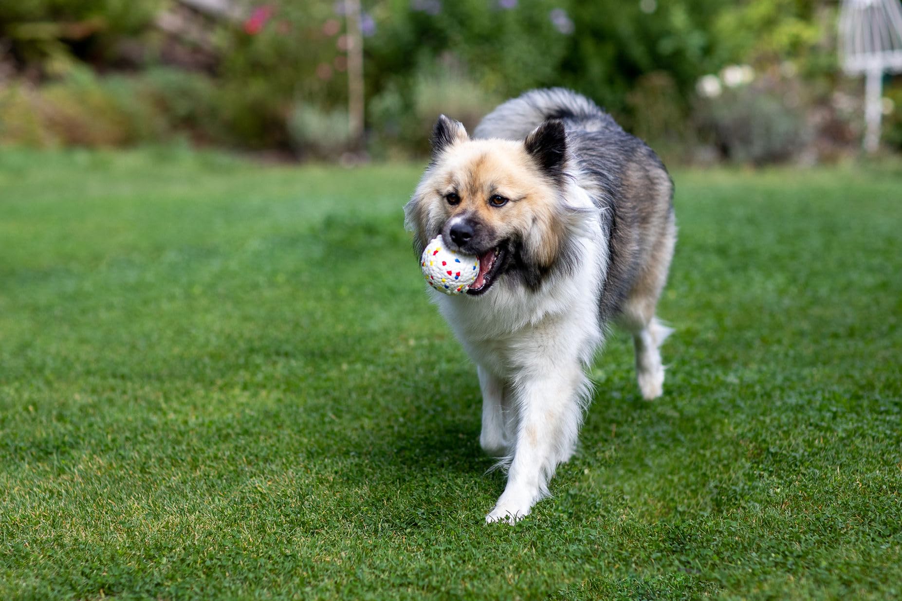 kerbl-balle-jouet-lancer-pour-chien-e-tpu-8-cm image 4