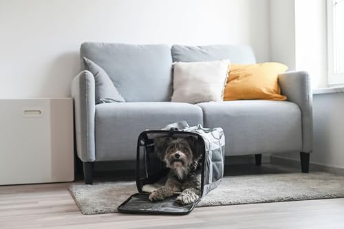kerbl-pet-sac-de-transport-casual-gris-41-x-28-x-29-cm-pour-petits-chiens image 8
