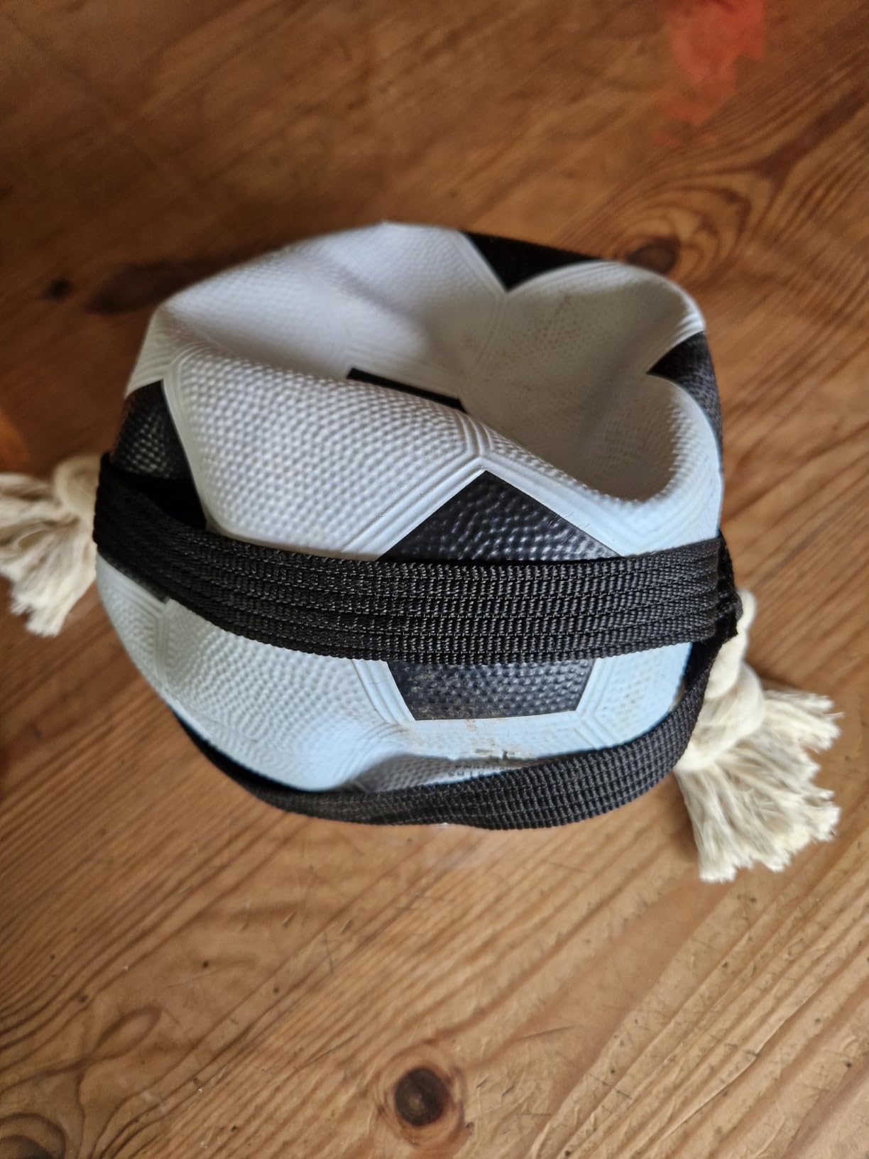 Solide et rigolo