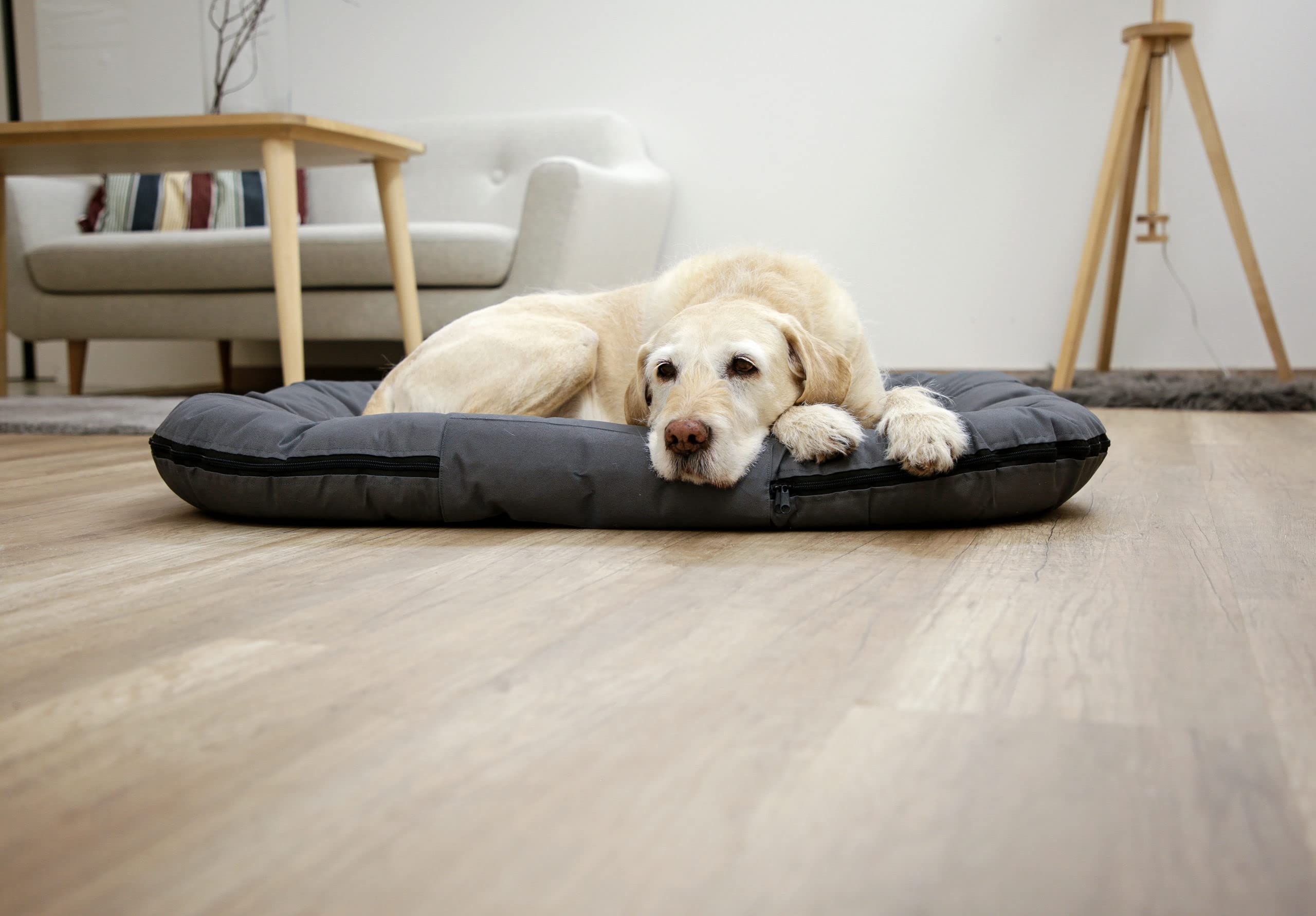 kerbl-pet-coussin-oxford-place-gris-100-x-70-x-15-cm image 4