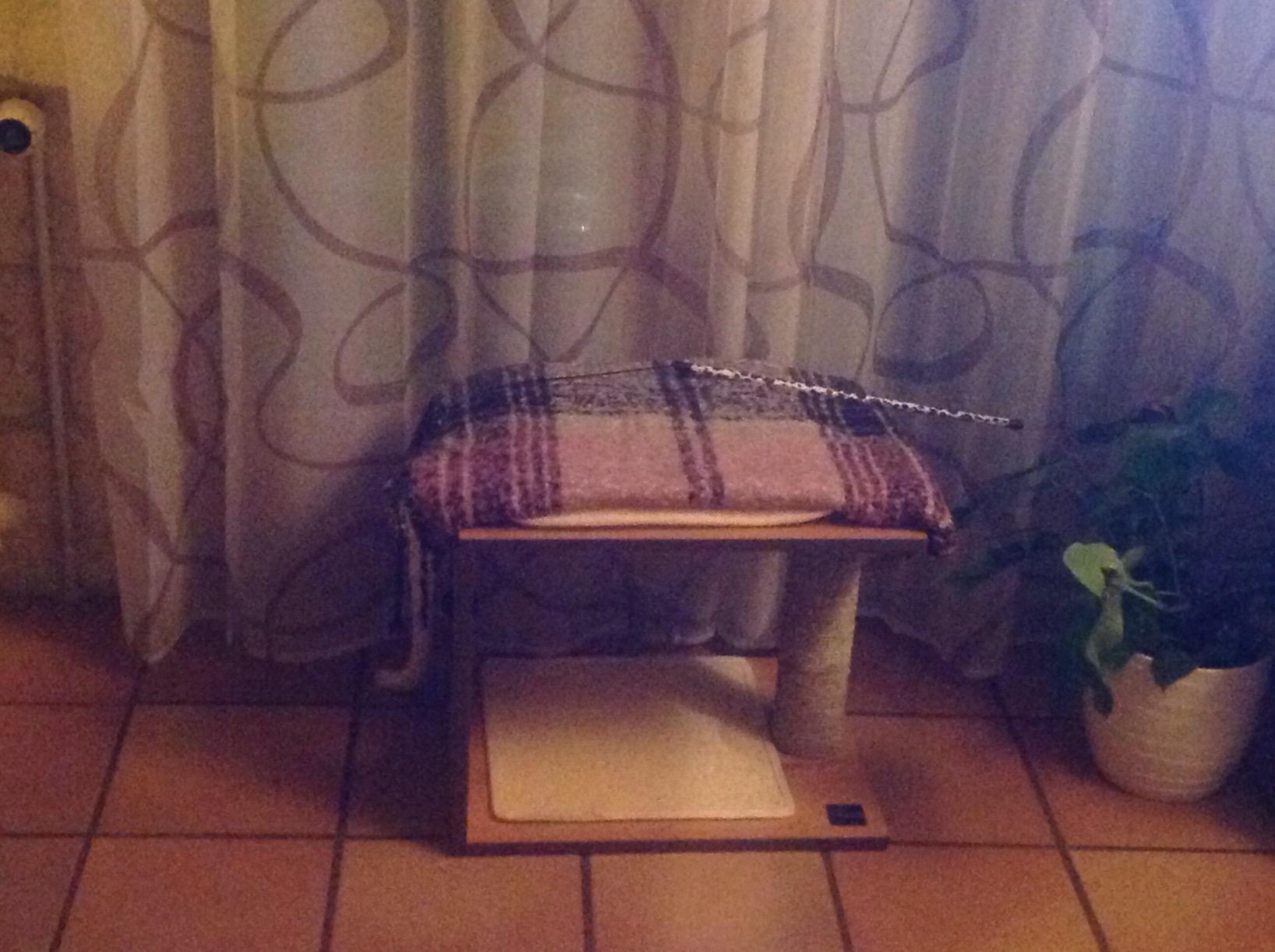 Magnifique dans le salon