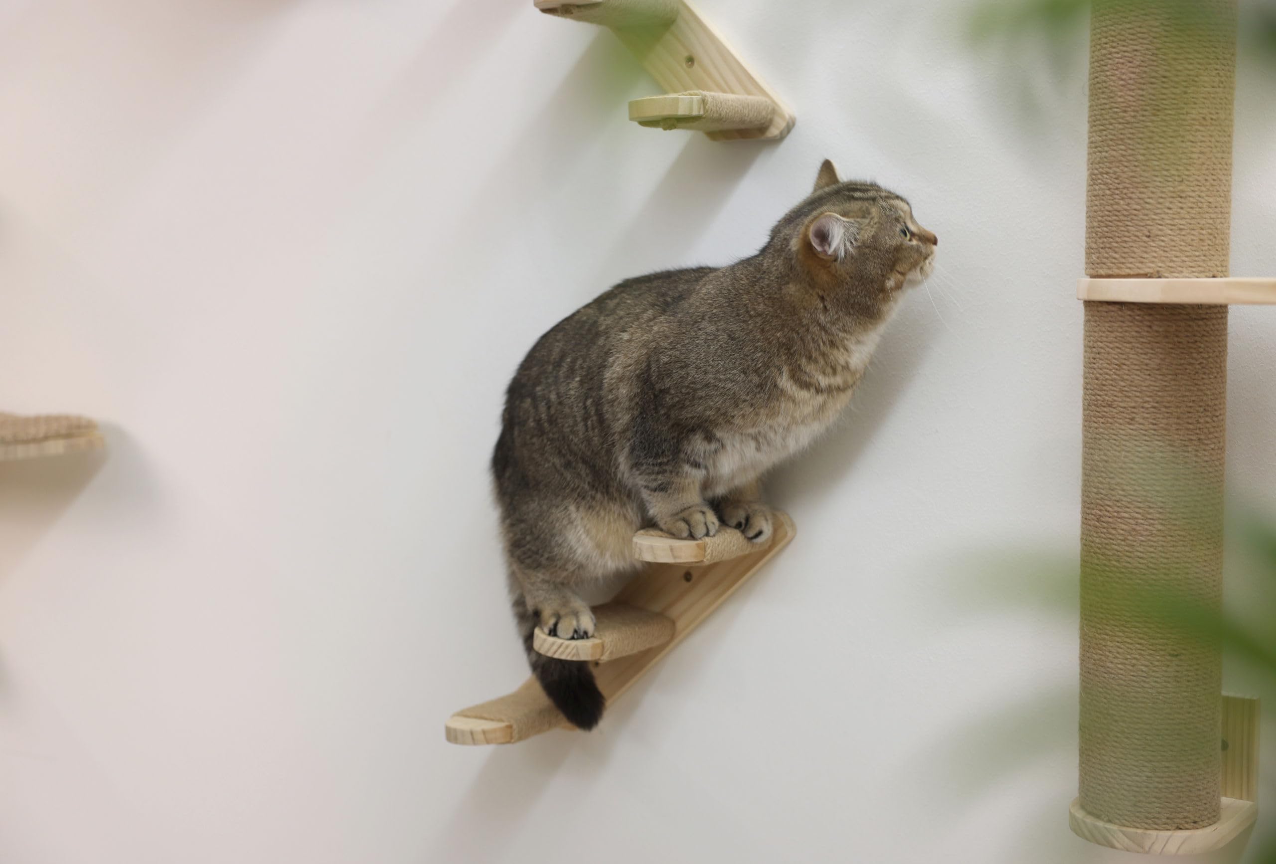 kerbl-pet-arbre-chat-timber-naturel-127-cm-bois-massif-et-jute image 4