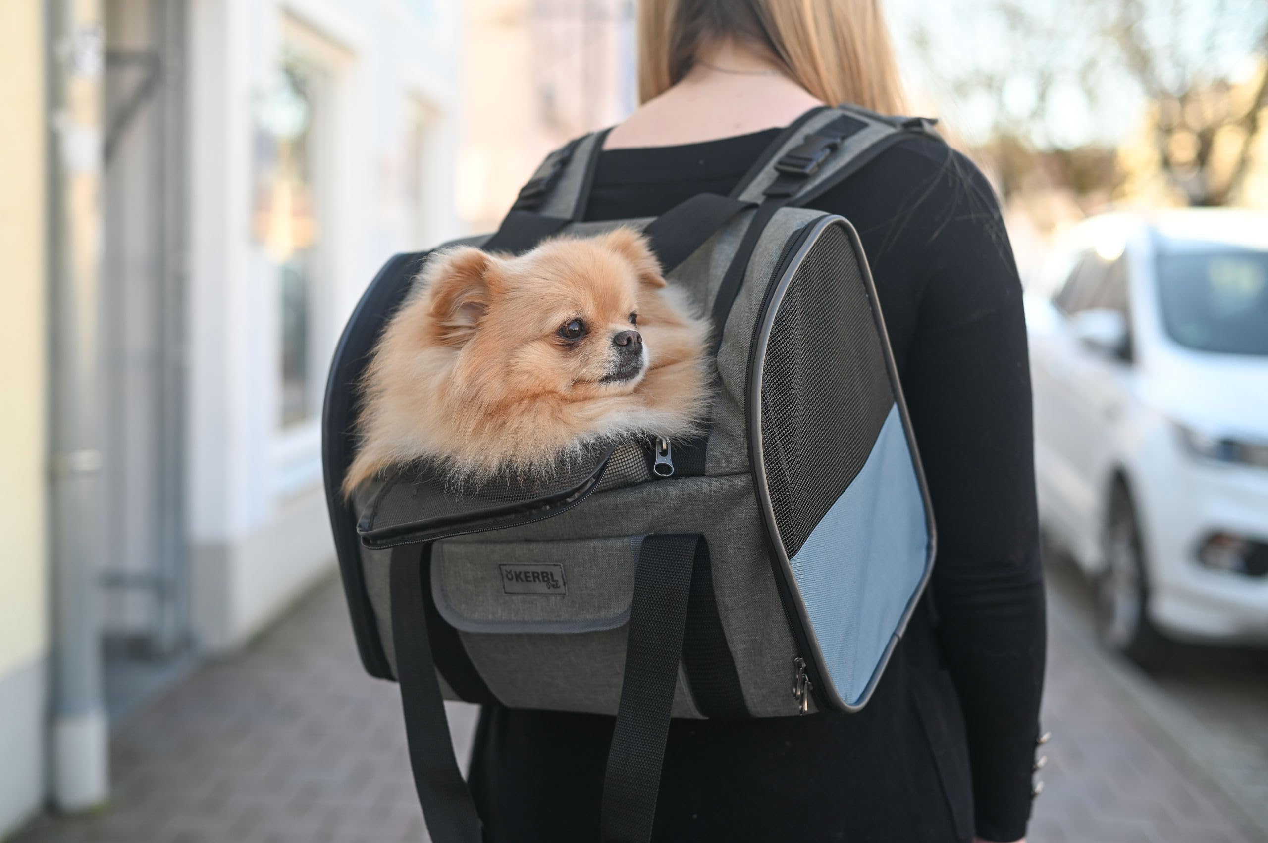 kerbl-sac-dos-pour-chien-vacation-gris-bleu-43x24x30-cm image 6