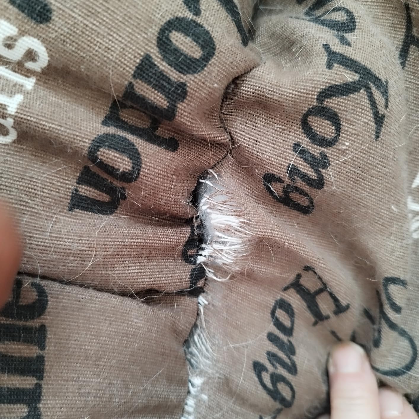 Très bon panier